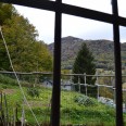 Rustico