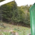 Rustico