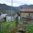 Rustico