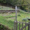 Rustico