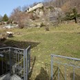 Bi-locale Con Giardino 
