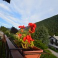 Quadrilocale Con Giardino 