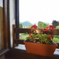 Quadrilocale Con Giardino 