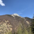 Baita Da Ristrutturare Con Terreno 