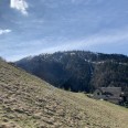 Baita Da Ristrutturare Con Terreno 