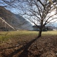 Terreno Edificabile 