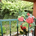 Casetta Indipendente Con Terrazza