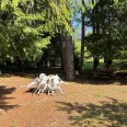 Bilocale Pian Terra Con Pineta