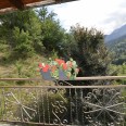 Villa Trifamigliare Con Giardino E Box Auto