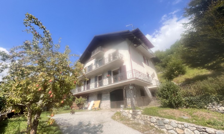 Villa trifamigliare con giardino e box auto